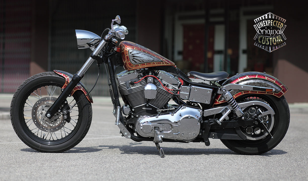 The Snake Harley Davidson Dyna Unexpected Custom